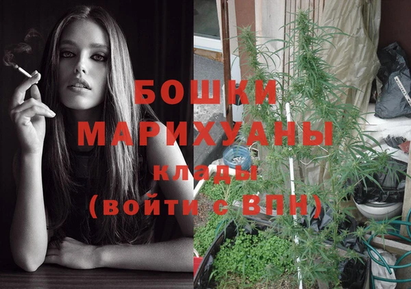 дурь Богородицк