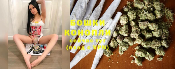 гашик Богородск