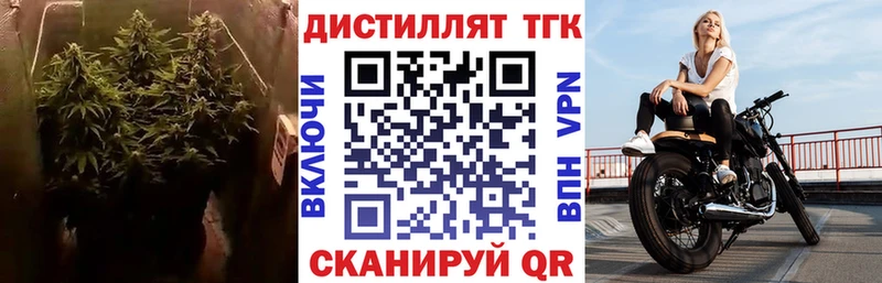 ТГК THC oil  Котлас 