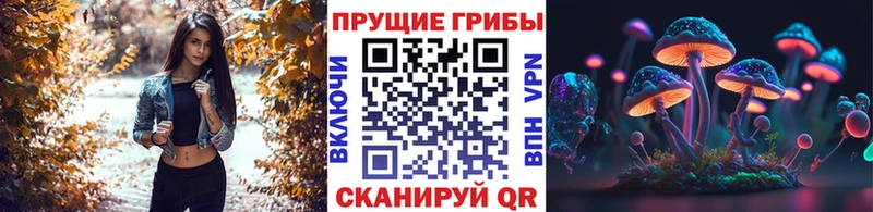 Галлюциногенные грибы прущие грибы  Котлас 