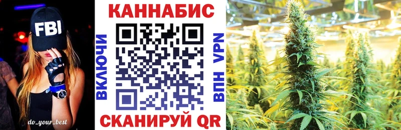 купить закладку  Котлас  Бошки Шишки планчик 